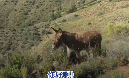 郑州蚂蚁运动健身房_郑州蚂蚁乐园_郑州动感蚂蚁健身