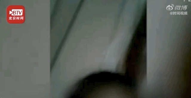 郑州动感蚂蚁健身_郑州蚂蚁乐园_郑州蚂蚁运动健身房