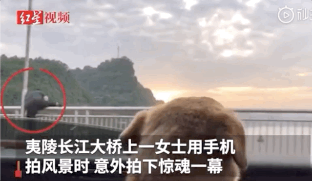 郑州动感蚂蚁健身_郑州蚂蚁乐园_郑州蚂蚁运动健身房