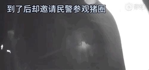 郑州蚂蚁乐园_郑州动感蚂蚁健身_郑州蚂蚁运动健身房