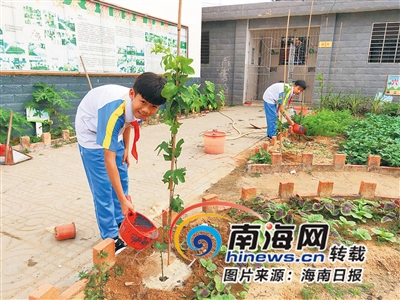 洗手帕幼儿视频_生活技能洗手帕_洗手帕步骤分解图