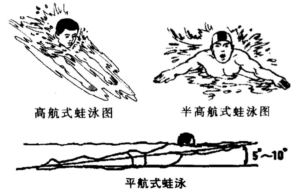 奥运游泳最快改规则_游泳奥运规则改变_奥运会游泳改规则